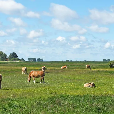 Schoene 3-raum-ferienwohnung Direkt Im Nationalpark * Ummanz